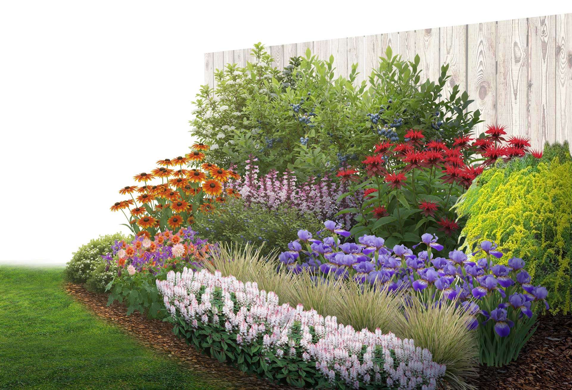 Floria_Biodiversifie_Ecologique_Soleil_Floral