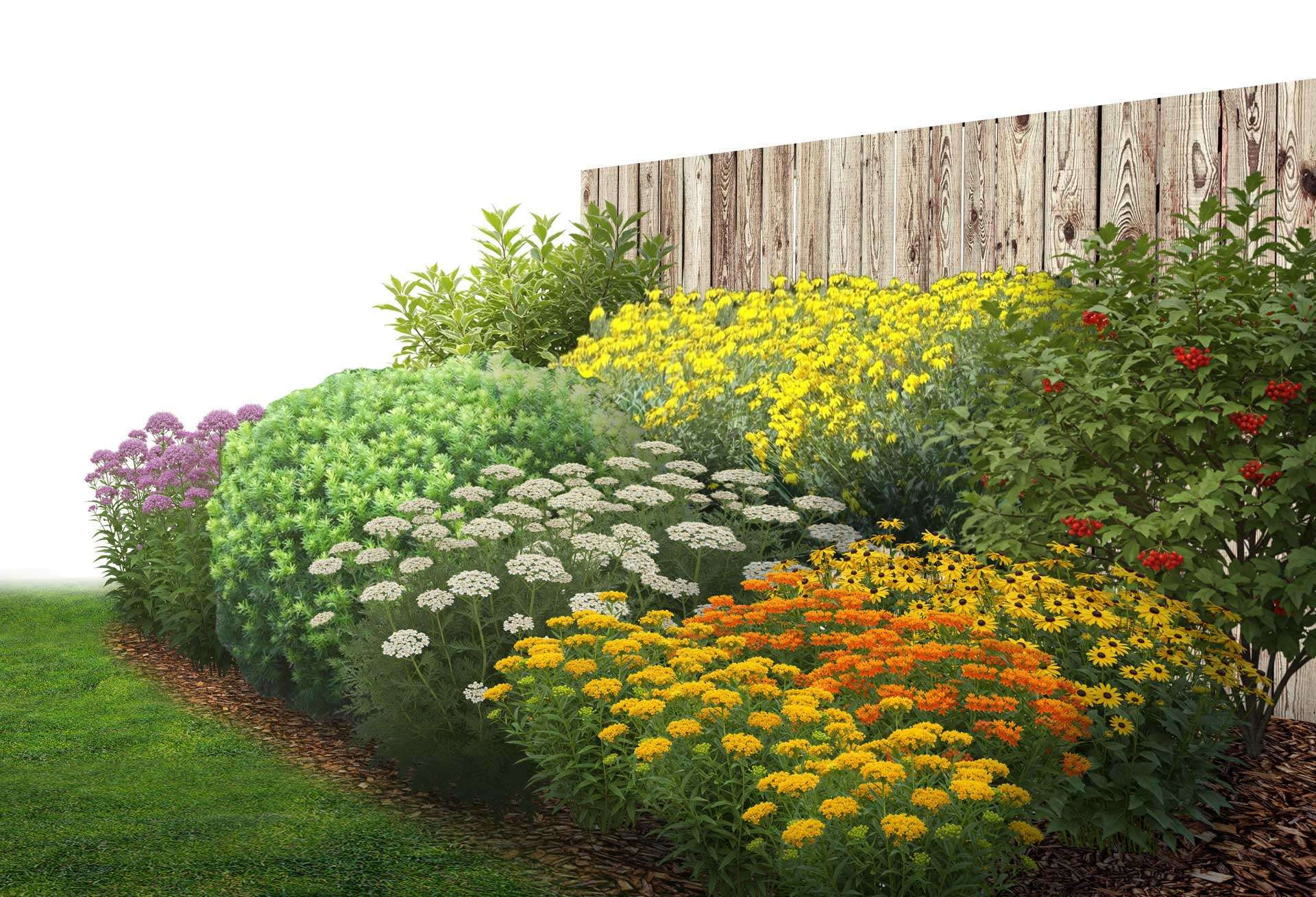 Floria_Biodiversifie_Ecologique_Soleil_Fruite