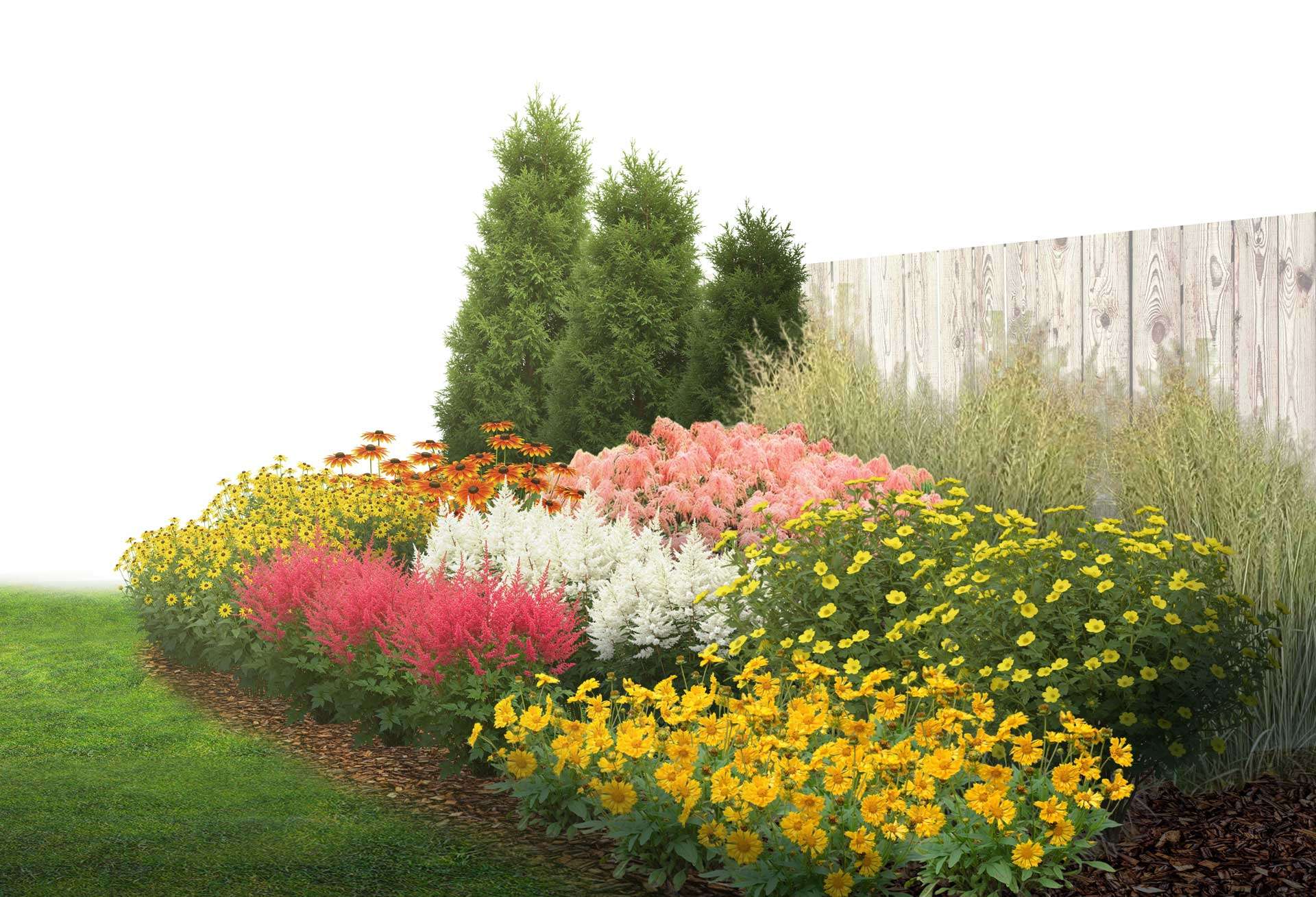 Floria_Biodiversifie_Ornemental_Soleil_DeFeu