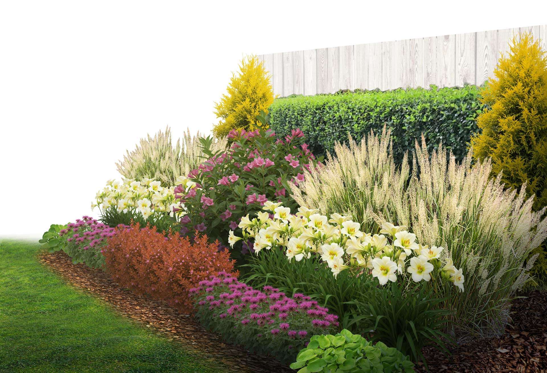Floria_Biodiversifie_Ornemental_Soleil_Eclatant